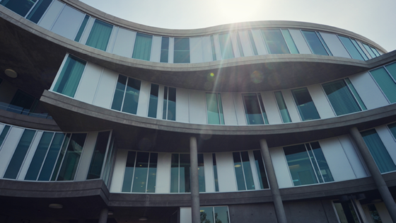 School of Humanities welcomes seven new faculty