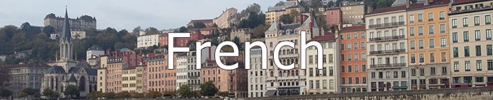 French Studies French Studies