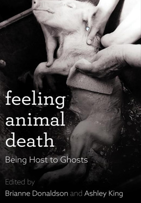 Feeling Animal Death: Being Host to Ghosts