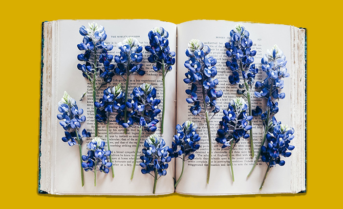 open book and purple flowers