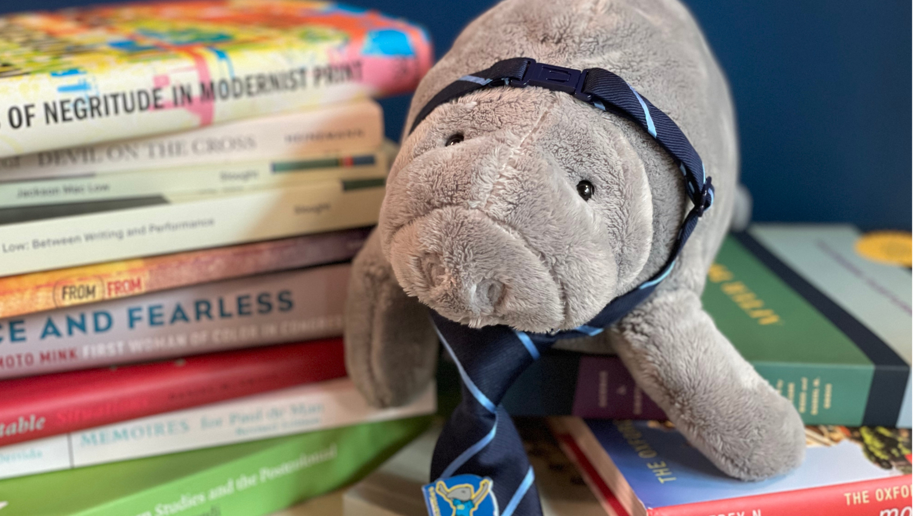 A photo of Hugh Manatee and stuffed animal perched on top of a pile of books.