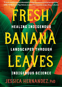 Cover image of Fresh Banana Leaves