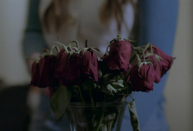 Wilted and dry roses. 