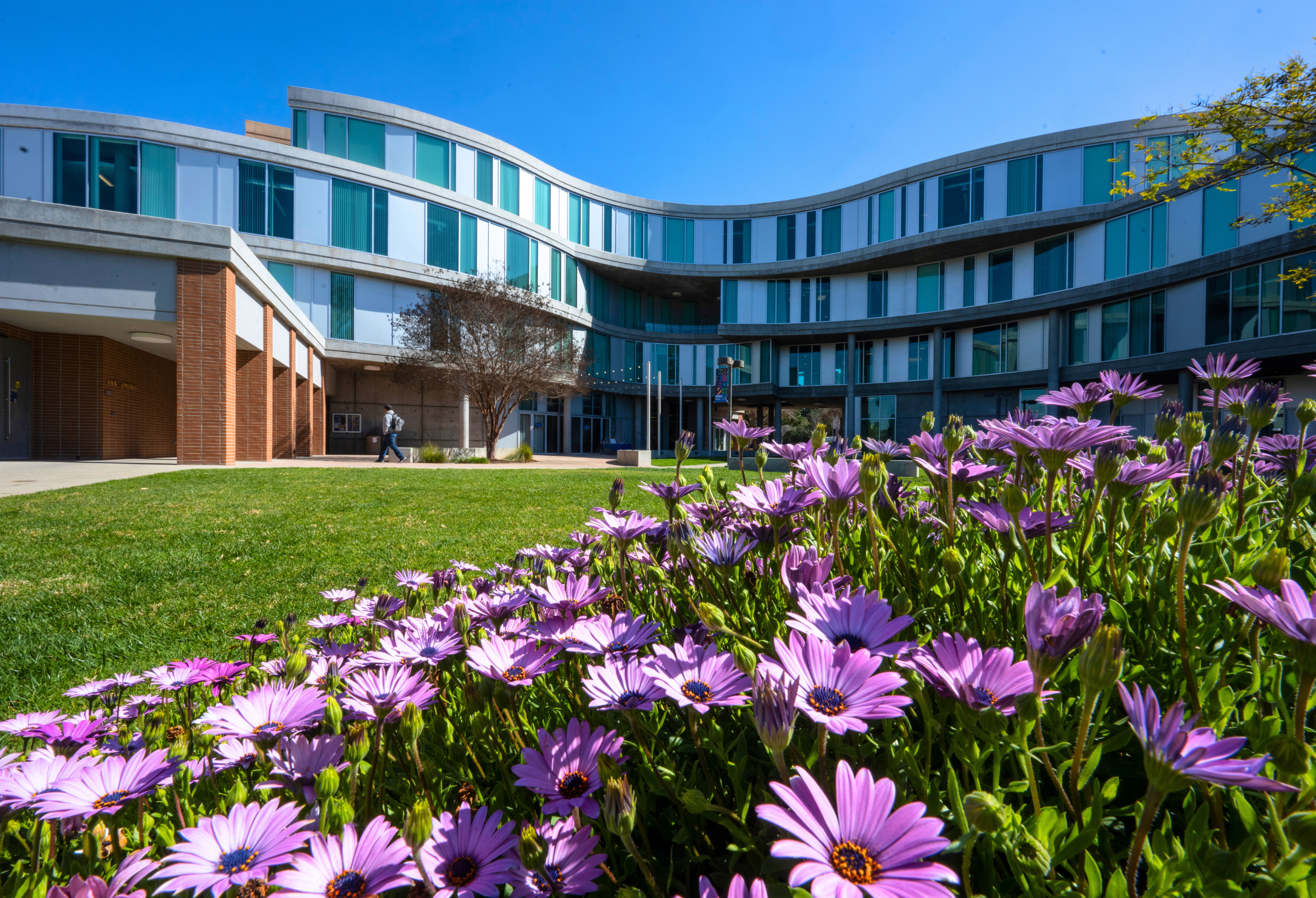 Humanities Gateway and flowers