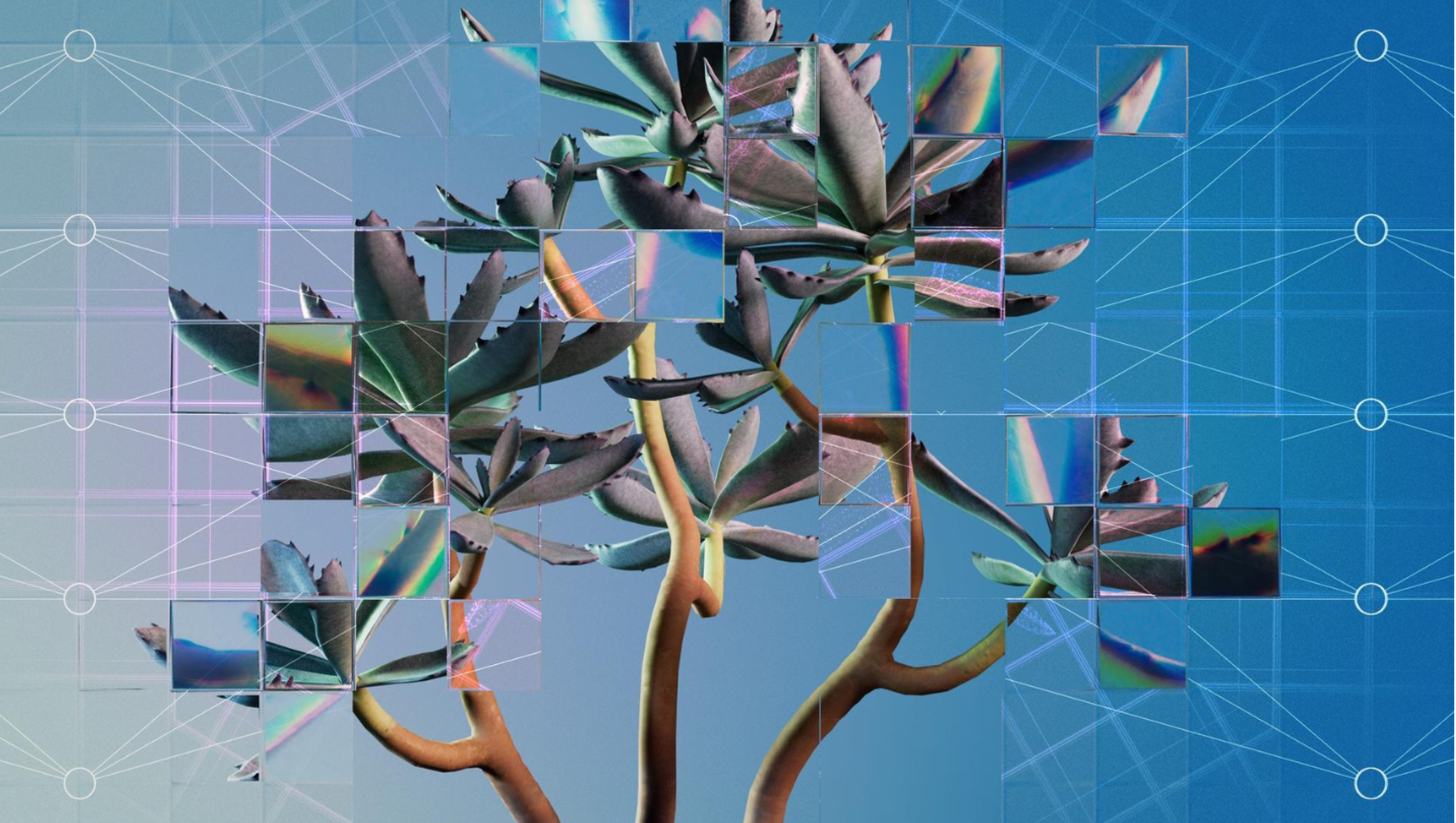 Environment, encounter, entanglement