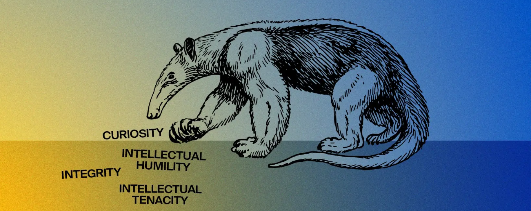 Anteater with text: Curiosity, Intellectual Humility, Integrity, Intellectual Tenacity
