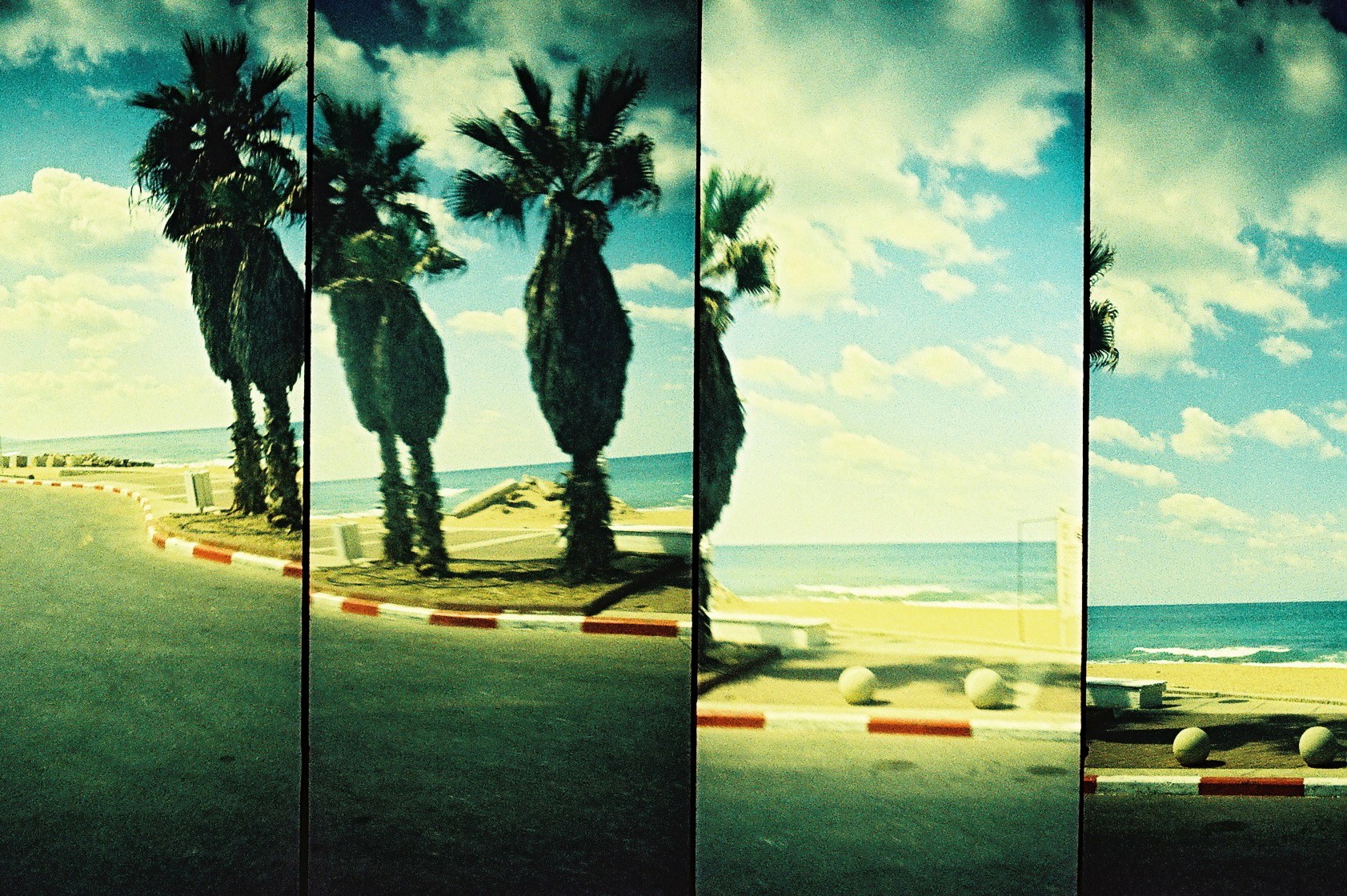 A segmented film photograph of palm trees