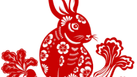 Year of the Rabbit