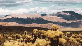 A picture of a desert landscape. 