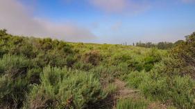 Ecological-Preserve-01-24.jpeg