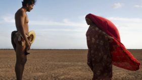 birds of passage