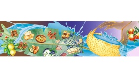 Food and Nurturance Logo