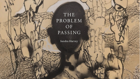 The cover of the bool "The Problem of Passing"