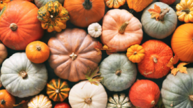 Fall pumpkins
