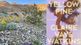 The Mojave desert with the cover of Claire Vaye Watkins "Yellow Pine: A Novel"