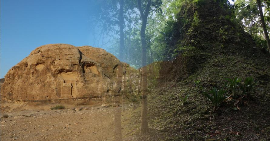 Image of research location