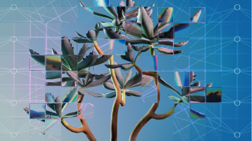 A photographic rendering of a succulent plant seen through a refractive glass grid
