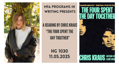 Chris Kraus Option 3