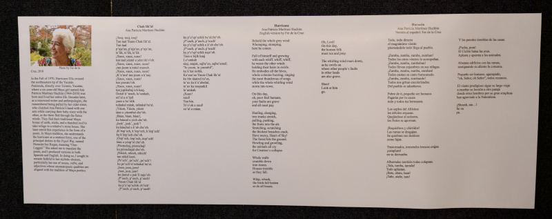 Fer de la Cruz poem submission