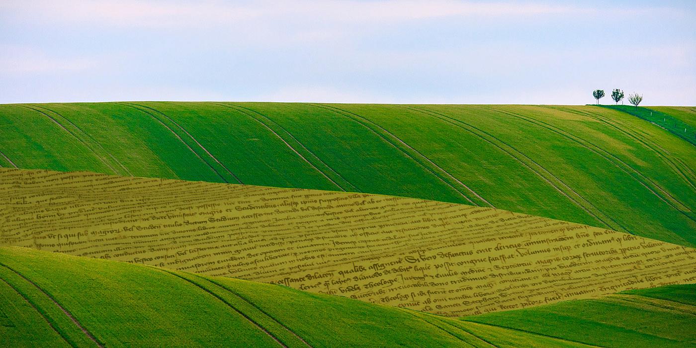 Countryside