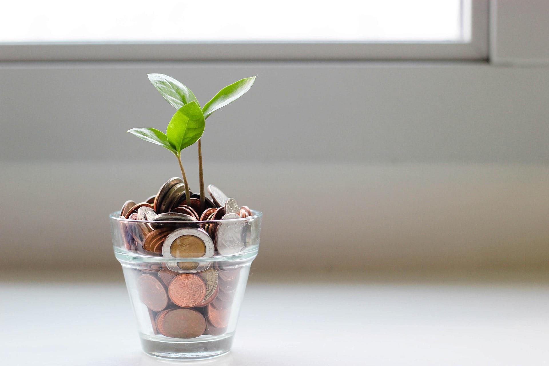 glass with coins and small plant
