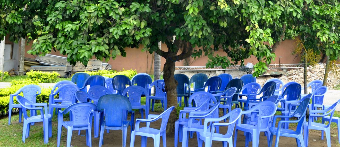 tree with blue chairs underneath