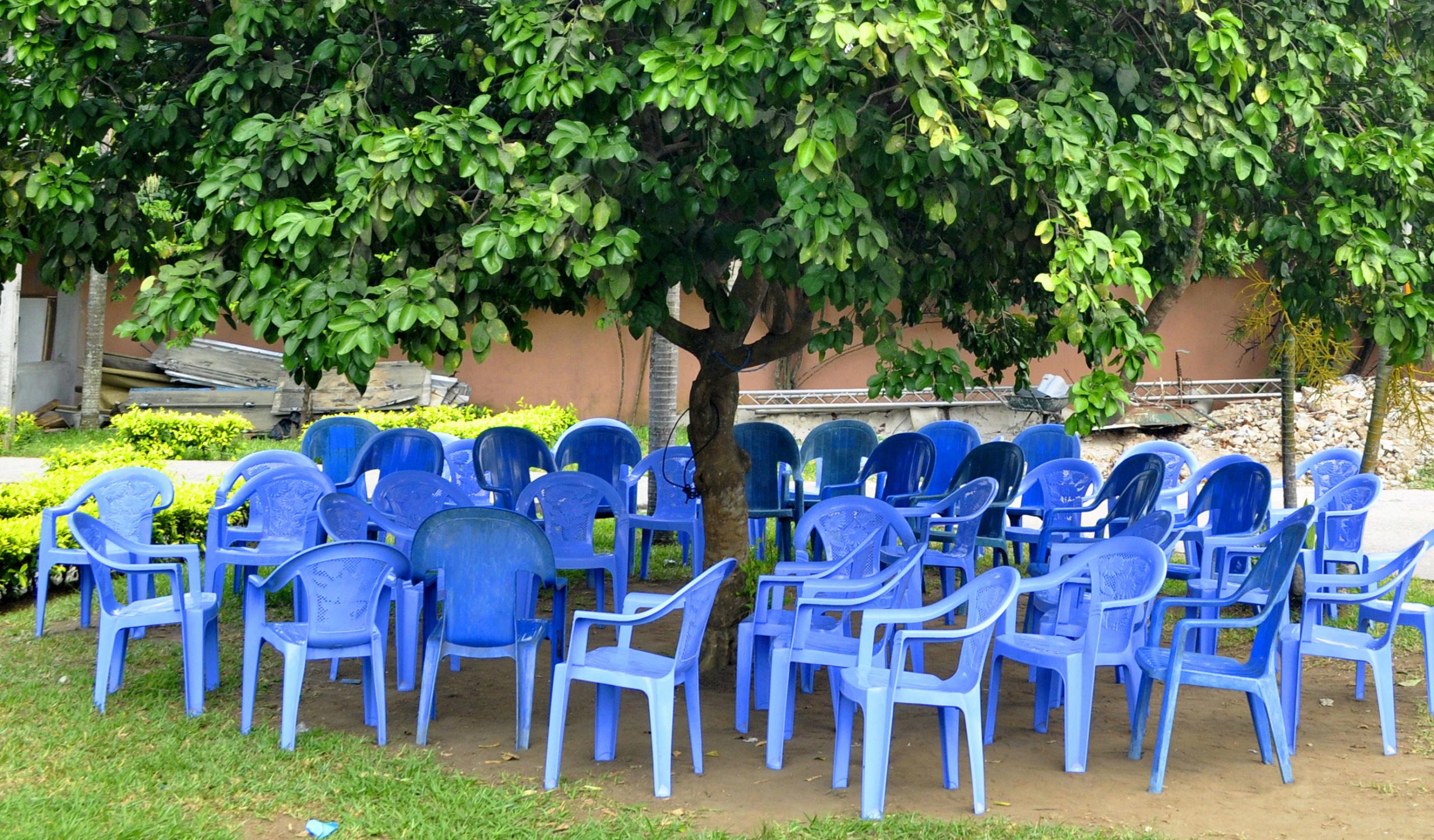 tree with blue chairs underneath