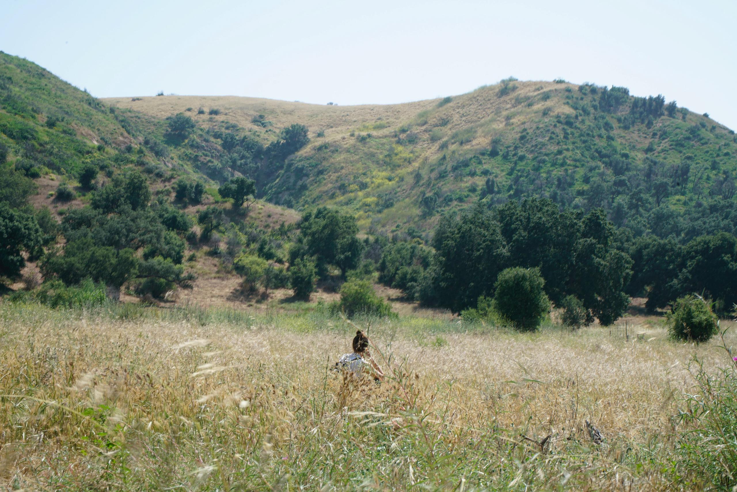 Artist Julie Weitz amid a landscape at Limestone Canyon