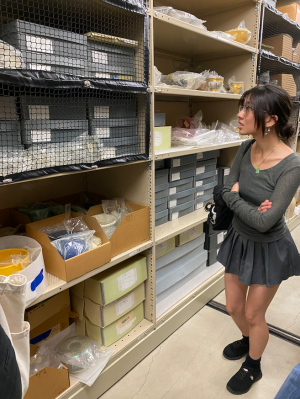 Storage collections tour