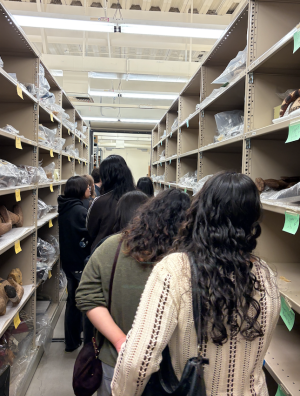 Students walking through Bowers Collections shelves.
