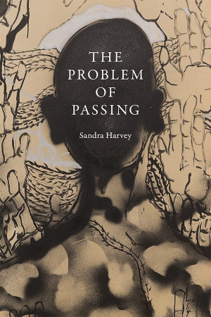 The Problem of Passing book cover