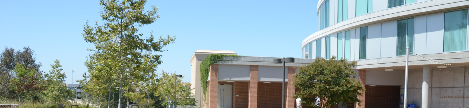 faculty directory