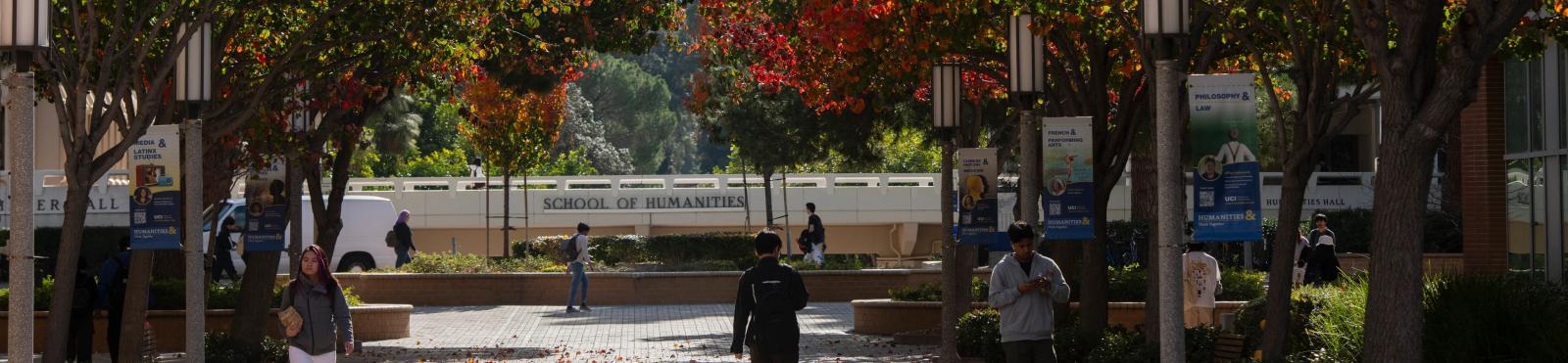 Sunlight hits trees in the school of Humanities  photo: Steve Zylius/UCI