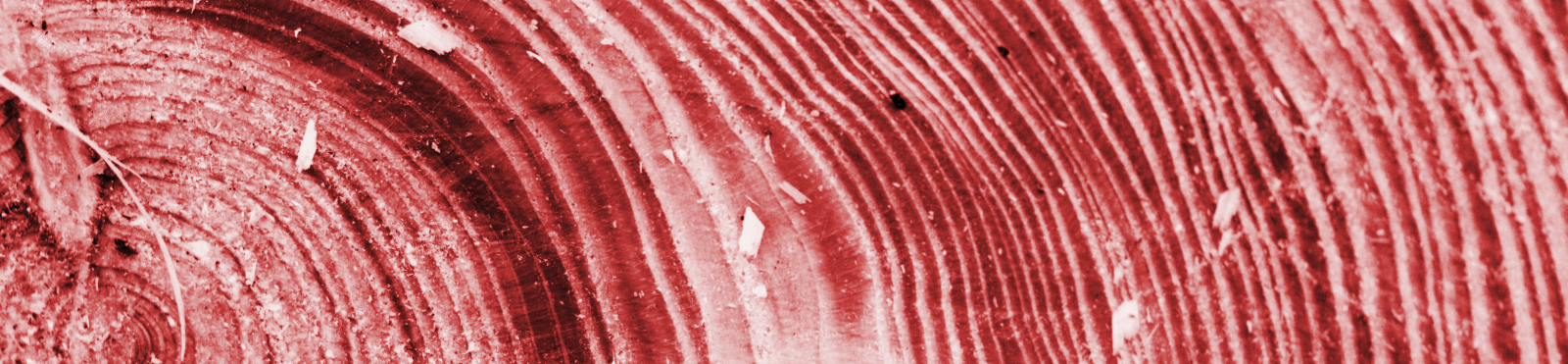 Red tree rings