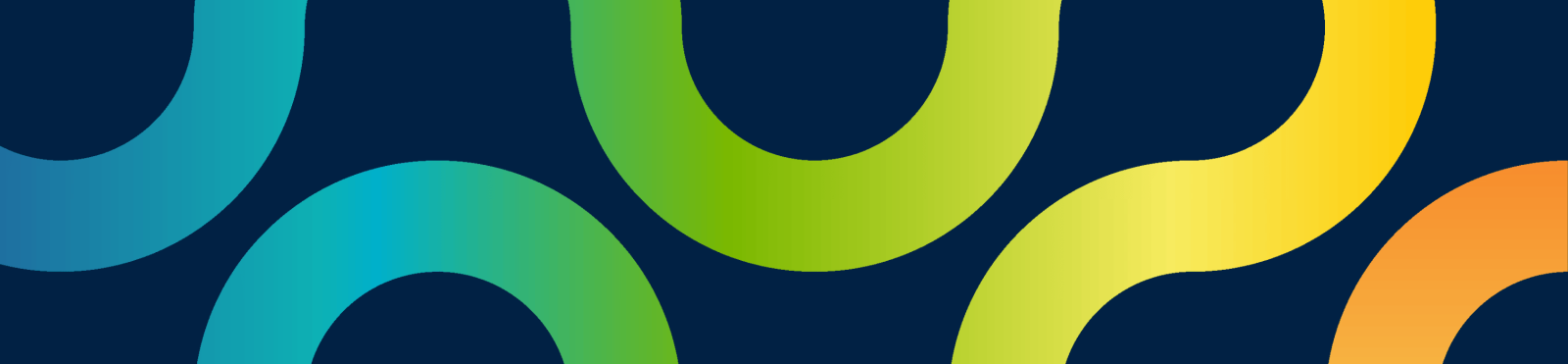 Decorative banner for LAIC undergrad program