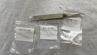 Image of teeth samples by Ina Kim