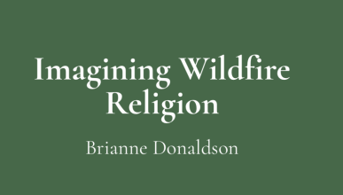 Imagine Wildfire Religion