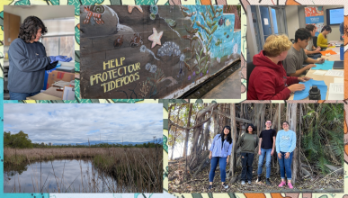 A photo collage of students participating in the Wuican internship, the location students are going to and work students are doing in the classroom
