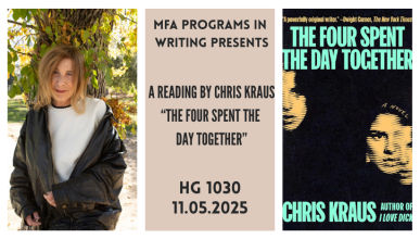 Chris Kraus Option 3