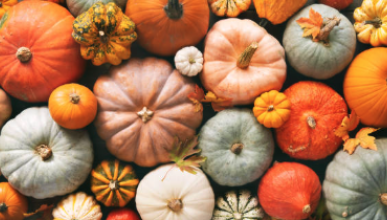 Fall pumpkins