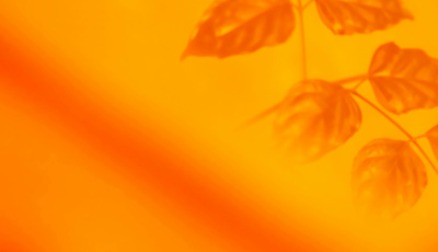 xiangkun-zhu-4uWvSvBOXTg-unsplash