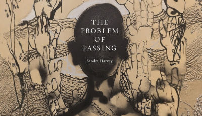 The cover of the bool "The Problem of Passing"